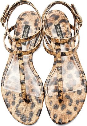 Dolce & Gabbana Brown Leather Leopard Spot Flat Sandals