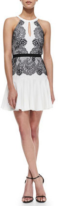 BCBGMAXAZRIA Leyla Lace Detailed Halter Dress, Off White/Black