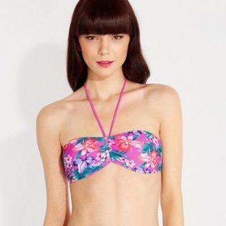 Oasis tropical fern print bikini top