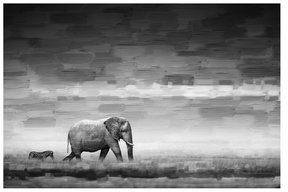 Parvez Taj Gilt Exclusive - Elephant (Canvas)