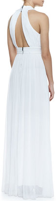 Alice + Olivia Jaelyn Cross-Front Pleated Chiffon Gown