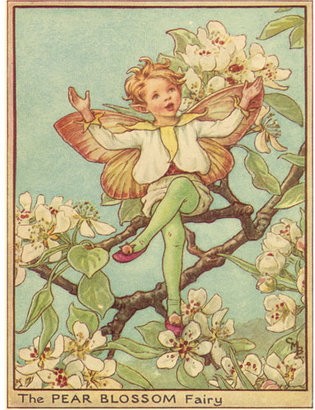The Pear Blossom Fairy Canvas Reproduction
