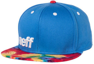 Neff The Daily Snapback Hat in Tie Dye