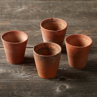 Williams-Sonoma Vintage Seedling Pots, Set of 4