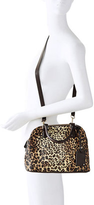 The Limited Leopard Mini Dome Satchel Bag