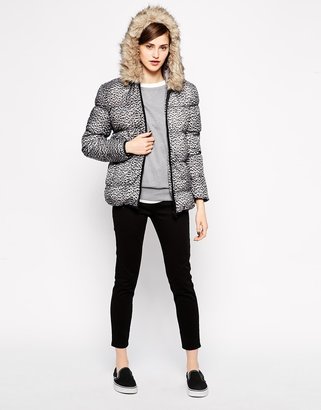 French Connection Wildcat Padded Jacket