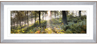 John Lewis 7733 John Lewis Mike Shepherd - Woodland Vision 2 Framed Print, 56.5 x 114.5cm