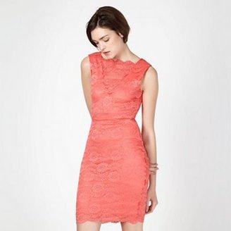 Lipsy Bright coral lace bodycon dress