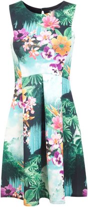 Miss Selfridge Tropical floral skater dress