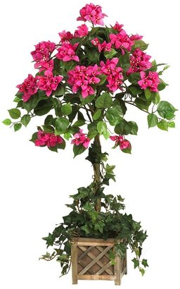 Bougainvillea Beauty Square Topiary in Basket