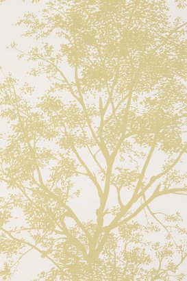 Urban Outfitters Tree Shadow Wallpaper