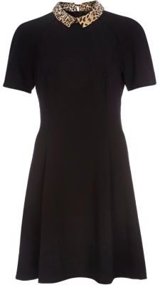 River Island Black leopard collar fit and flare dress