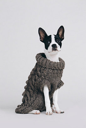 Free People Ware of the Dog Cable Knit Turtleneck