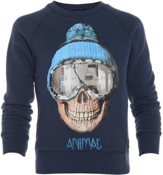 Animal Boys sweatshirt