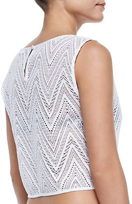 Milly See-Through Crochet Coverup Crop Top