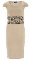 Dorothy Perkins Womens Fever Fish Beige Lace Contrast Dress- White