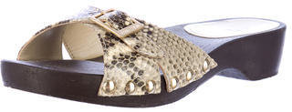 Jimmy Choo Snakeskin Sandals