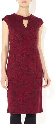 Wallis Pink Printed Jacquard Dress