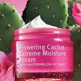 Grassroots TM flowering cactus extreme moisture cream with watermelon extract