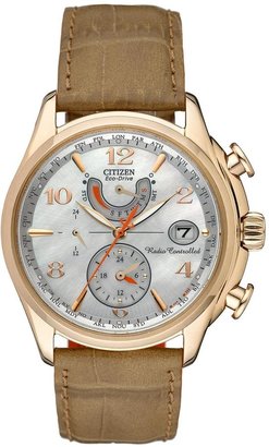 Citizen Ladies Eco-Drive World Time A.T WR100 Watch
