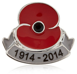 Marks and Spencer M&s Collection Poppy Scroll Pin