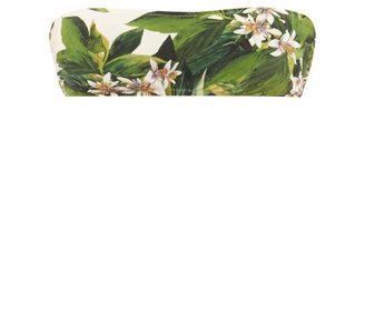 Dolce & Gabbana Lemon blossom-print bandeau bikini top
