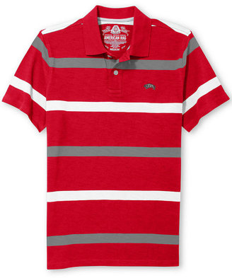 American Rag Striped Polo Shirt