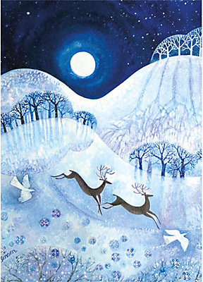 Museums & Galleries Stags in the Snow Charity Christmas Cards, Box of 8