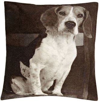 Linea Beagle printed velvet cushion