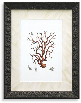 Bed Bath & Beyond Red Coral I Wall Art