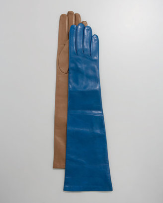 Portolano Ten-Button Elbow Leather Gloves