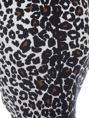 A.L.C. Leopard Print Skirt