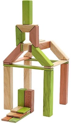Green Baby Tegu Explorer Set: Jungle Magnetic Blocks (40 pcs)