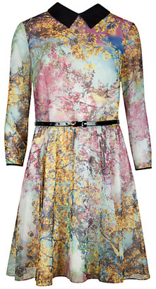 Ted Baker Pretty Trees Printed Dress, Dusky Pink