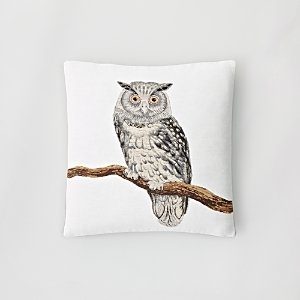 Yves Delorme Iosis for Apollo Owl Decorative Pillow, 18 x 18