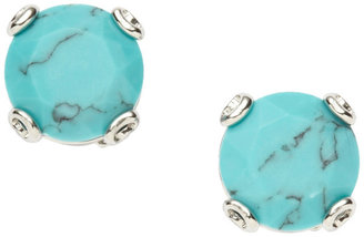 Fossil Turquoise Studs