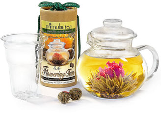 Primula Flowering Tea & Glass Teapot Gift Set