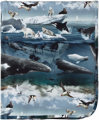 Molo Grey Arctic Landscape Niles Blanket