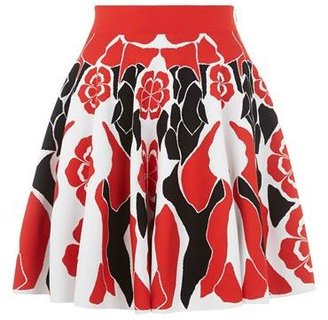 Alexander McQueen Flower Collage Full Skirt
