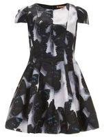 Dorothy Perkins Womens Jolie Moi Black Butterfly Print Dress- Black