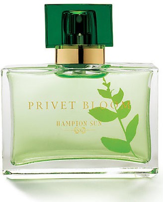 Hampton Sun Privet Bloom Eau de Parfum/1.7 oz.