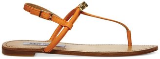 Steve Madden Women's Daisey Flat Thong Sandals