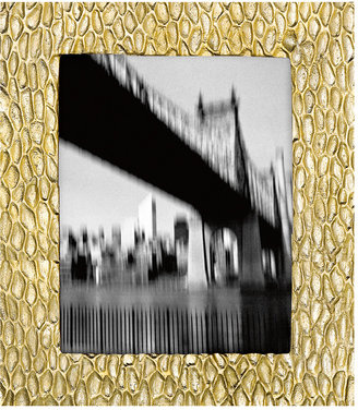 Donna Karan Lenox - Devore Frame - Gold - 8x10