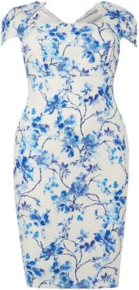 House of Fraser Lipstick Boutique Cap sleeved floral print bodycon dress
