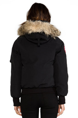 Canada Goose Chilliwack Bomber with Coyote Fur trim