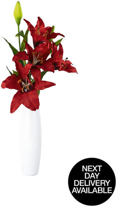 Two Red Lillies In White Vase