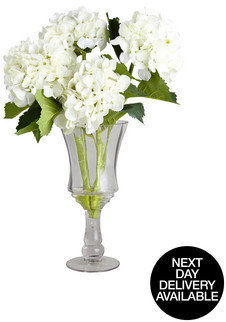Laurence Llewellyn Bowen 4 Hydrangeas In A Tall Glass Vase