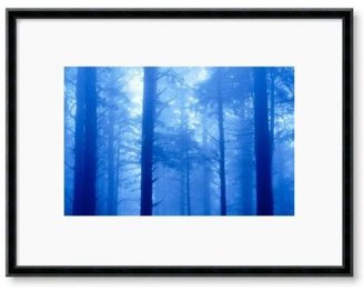 Art Select NEW! Foggy Forest, Lookout State Park, Oregon" Framed Art Print by Unknown Artist