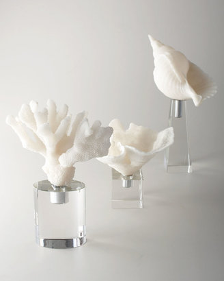 John-Richard Collection White Coral and Shell Sculptures