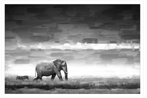 Parvez Taj Elephant by Mirror)